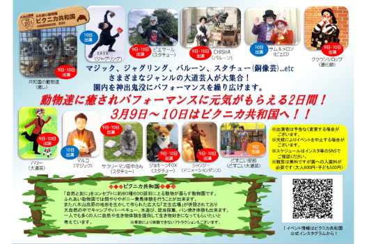 ピクニカ共和国大道芸フェスタ-1