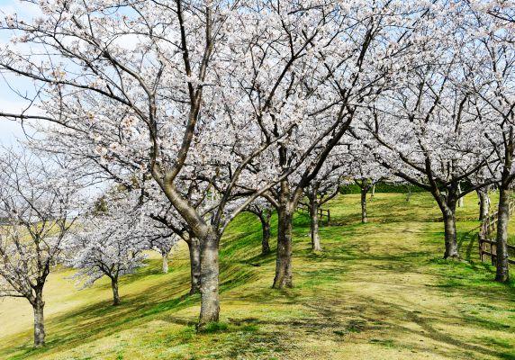 みずがめの郷（久末総合公園）-1