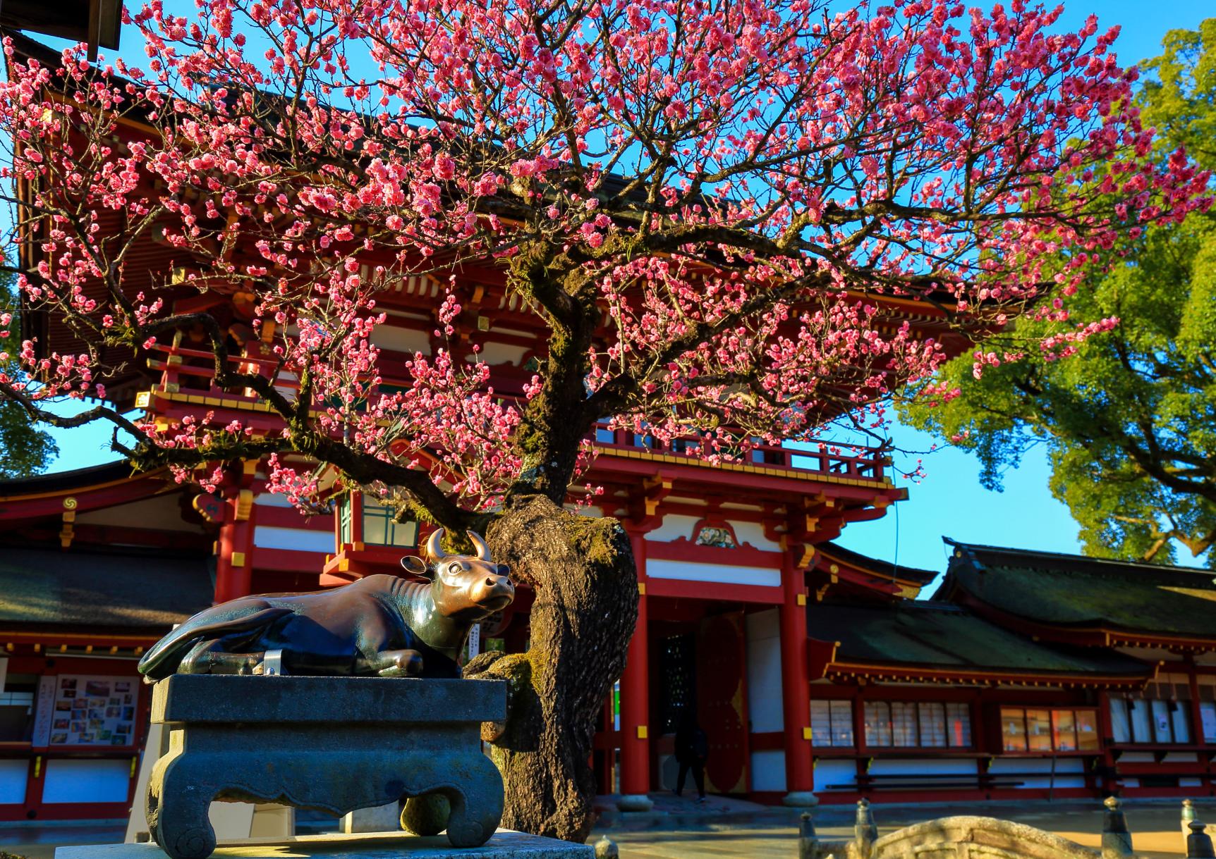 【太宰府天満宮】〜令和の都だざいふ〜 門前まつり-1