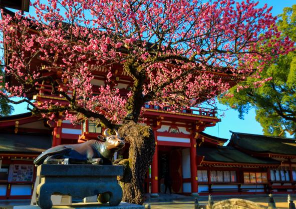 【太宰府天満宮】〜令和の都だざいふ〜 門前まつり-1