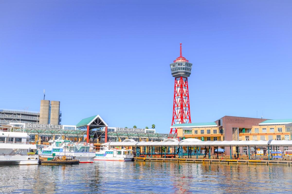 Bayside Wangan Ichiba-1