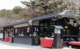 Matsushima Chaten-1