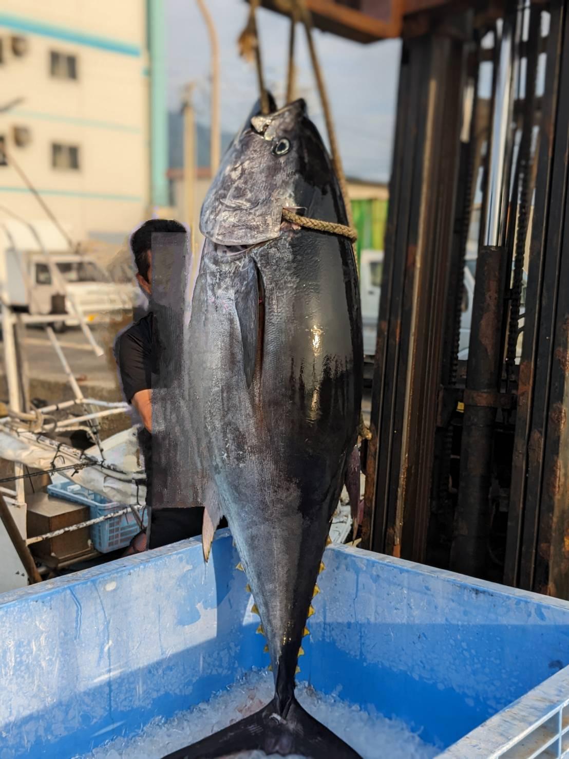 活魚村　海彦-7