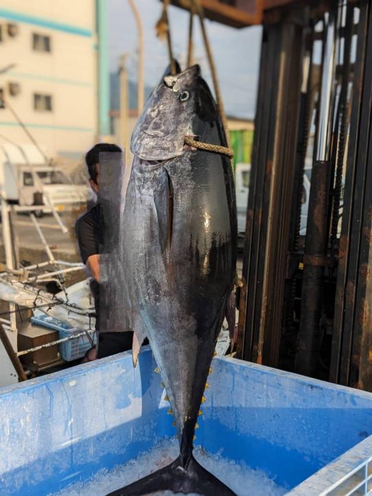 活魚村 海彥-7