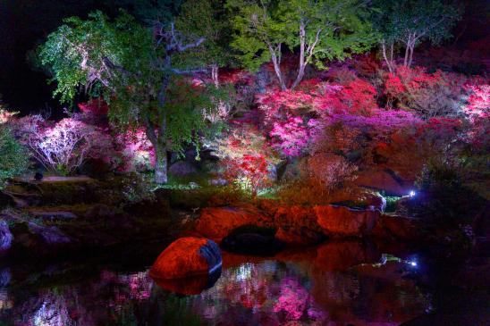 Jardin floral Ukidake Kōkajuen-4