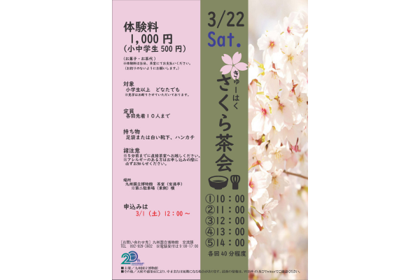 【九州国立博物館】さくら茶会-1