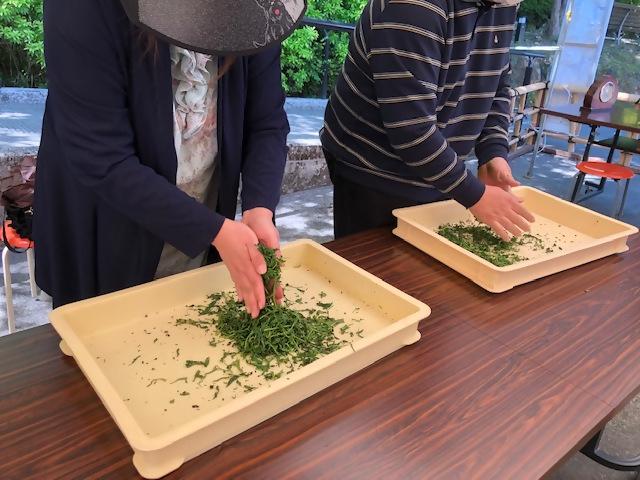 【茶の文化館】新茶フェア-1