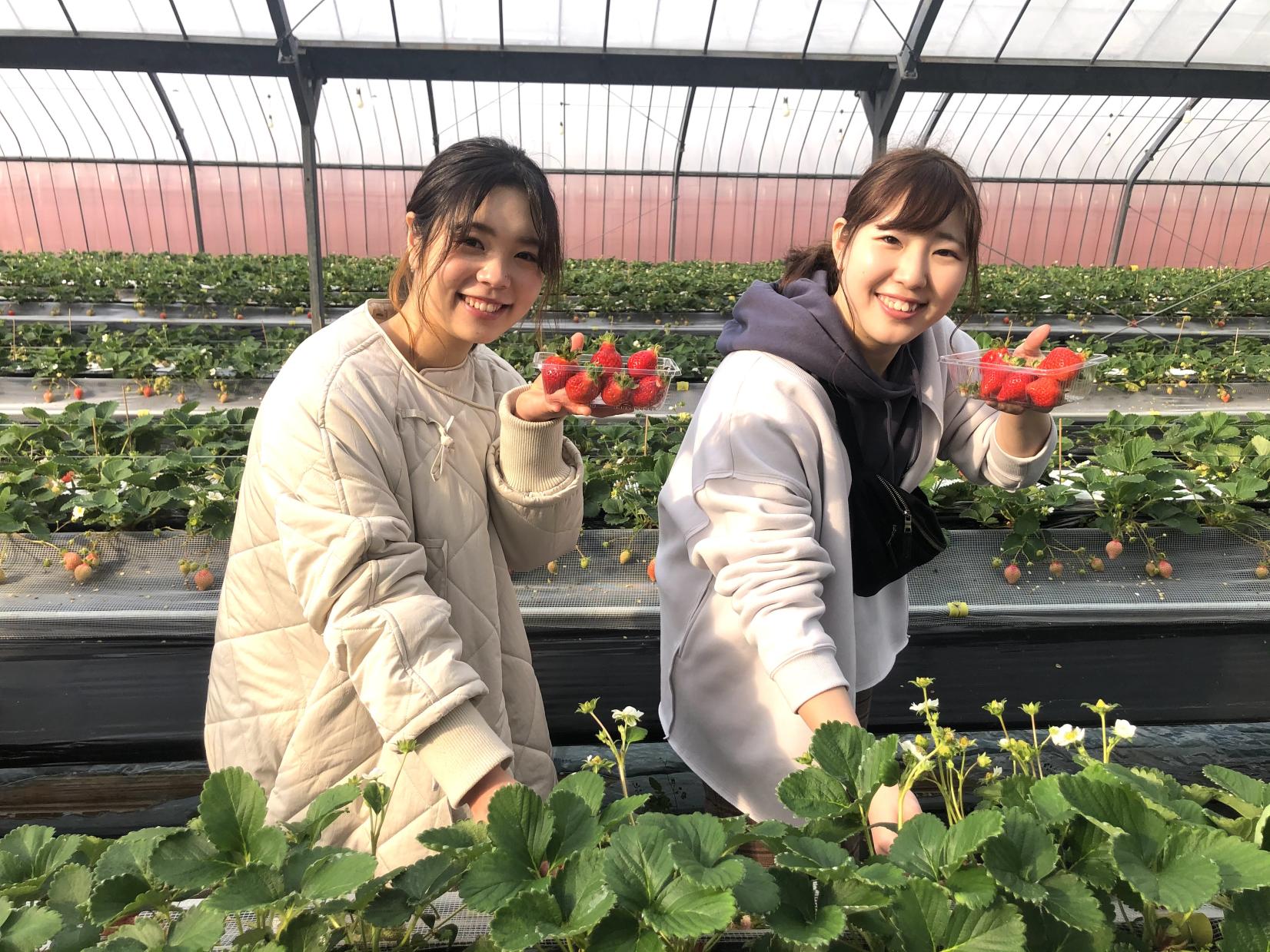OKAGAKIフルーツライド あまおう編-1