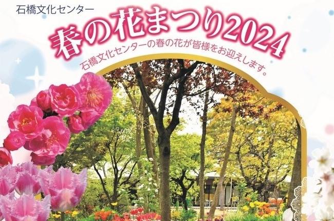 石橋文化センター 春の花まつり2024-0