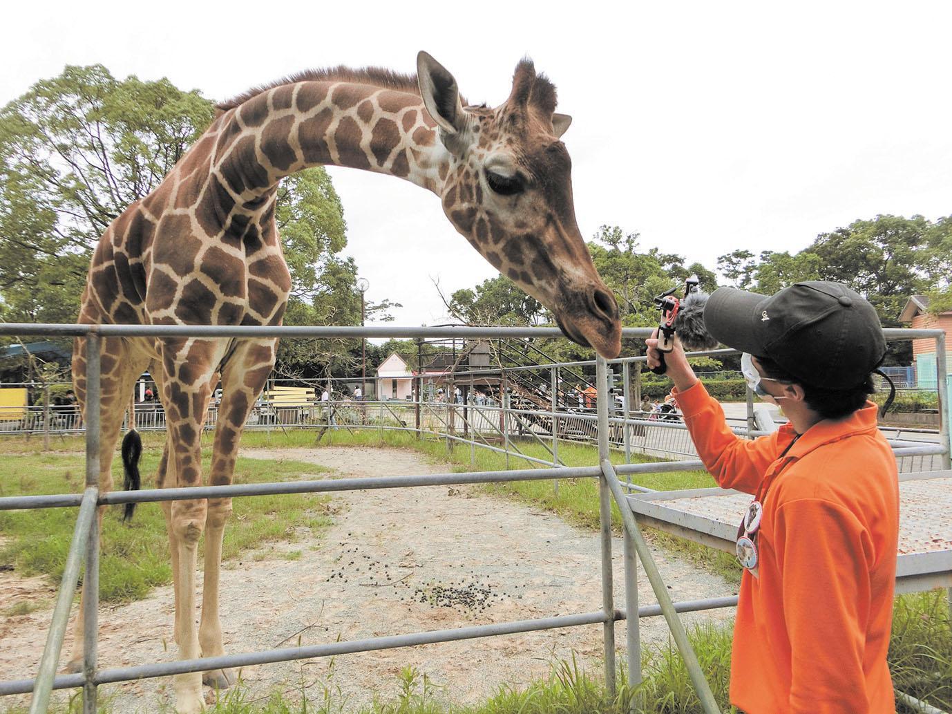 みんなの一日飼育員体験【大牟田市動物園】