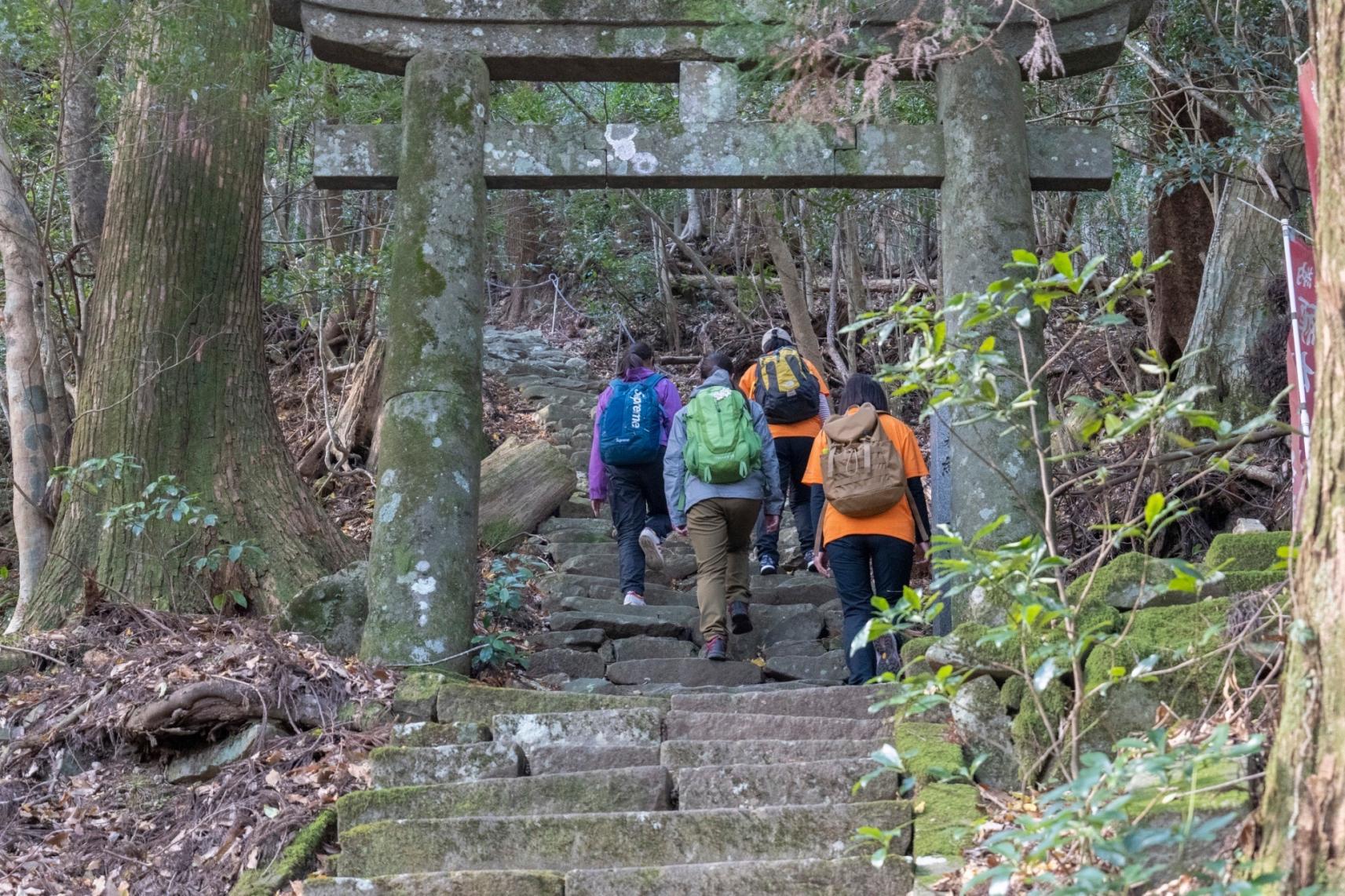 [Forest Therapy Base Buzen] Kubote Mountain Circuit Course-4