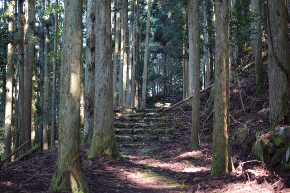 [Forest Therapy Base Buzen] Kubote Mountain Circuit Course-0