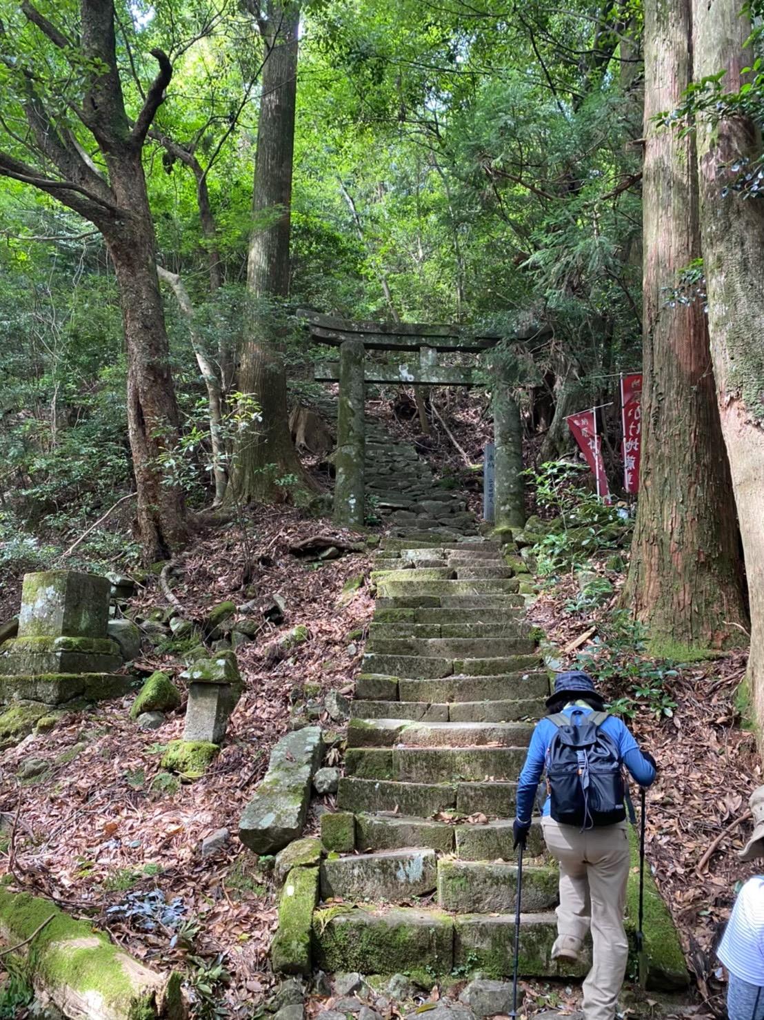 [Forest Therapy Base Buzen] Kubote Mountain Circuit Course-1