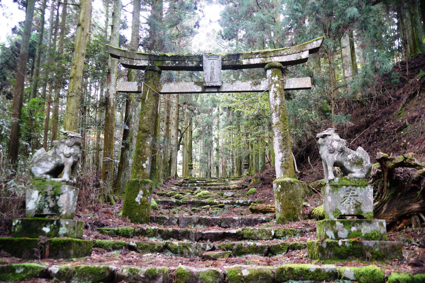 [Forest Therapy Base Buzen] Kubote Mountain Circuit Course-2