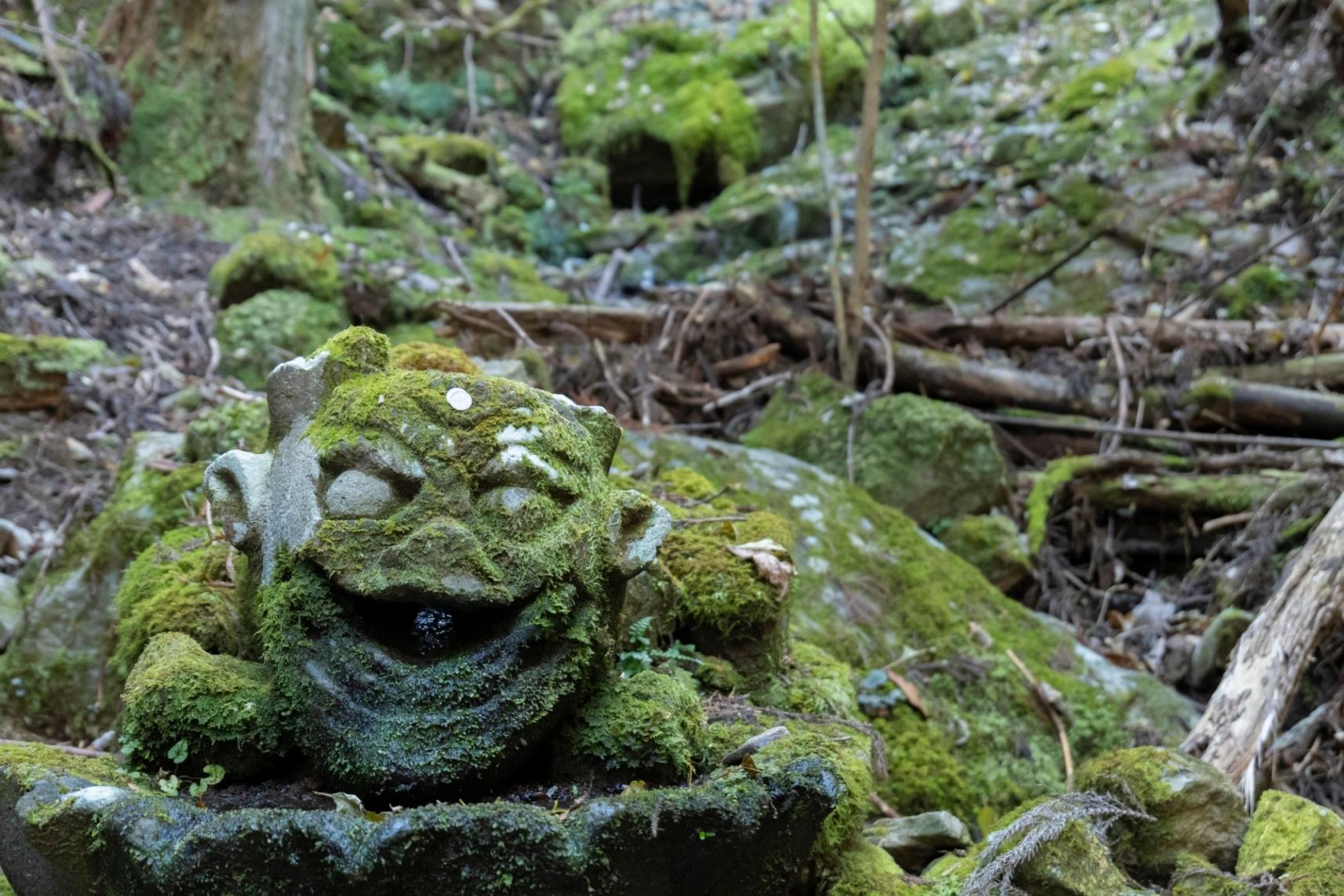 [Forest Therapy Base Buzen] Kubote Mountain Circuit Course-3
