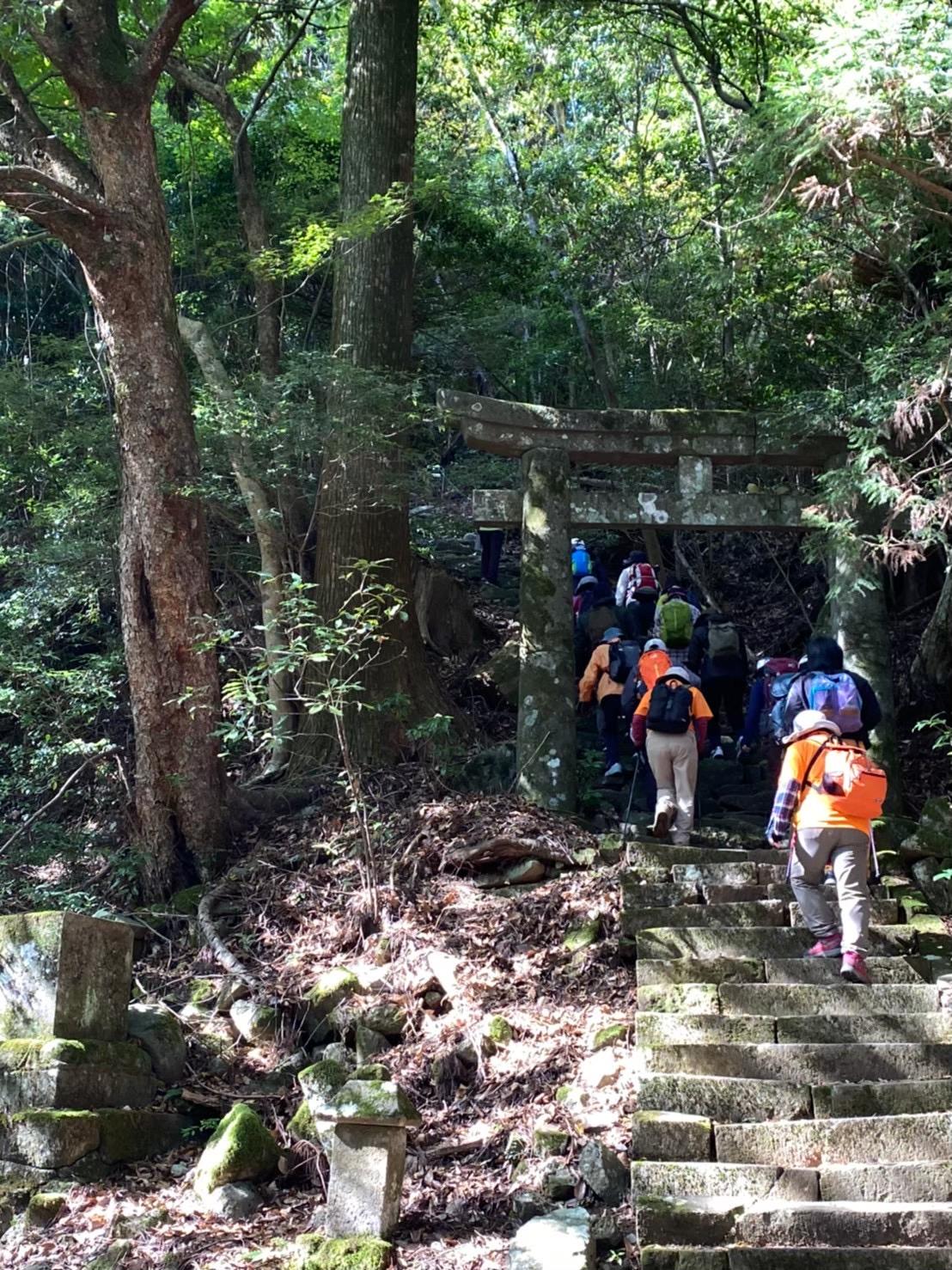 [Forest Therapy Base Buzen] Kubote Mountain Circuit Course-7