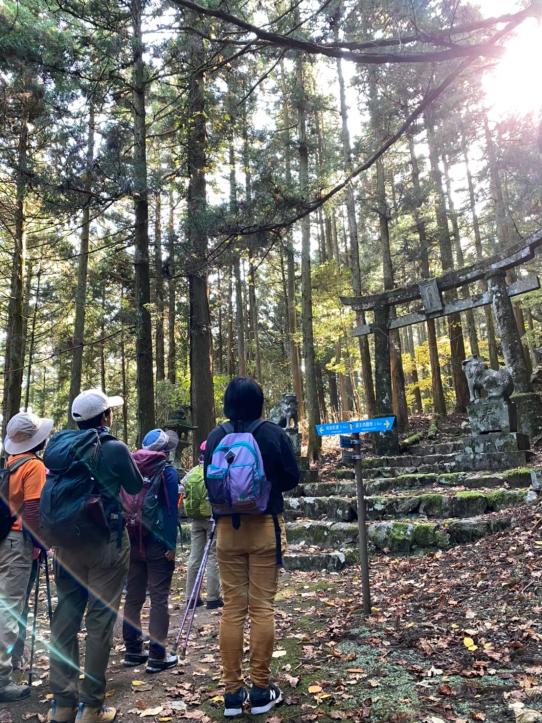 [Forest Therapy Base Buzen] Kubote Mountain Circuit Course-6