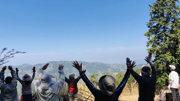 【森林セラピー基地豊前】次郎坊天狗橋コース-0
