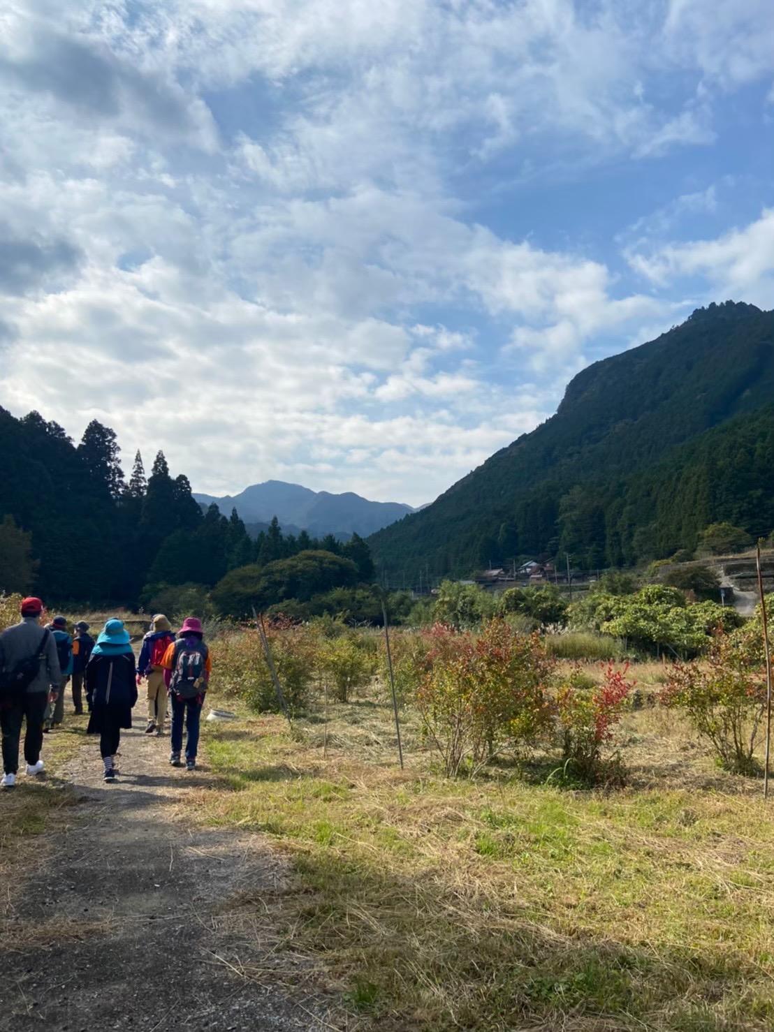 【森林疗愈基地丰前】鸟井田里山 散步路线-1