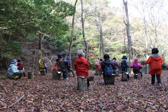 [Forest Therapy Base Buzen] Inugatake Seseradake Seseraginomori Course-4