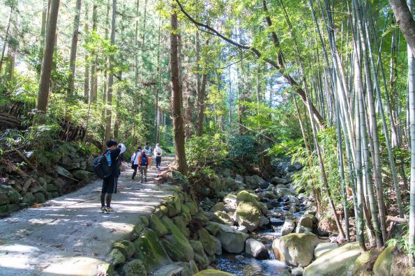 【森林セラピー基地うきは】巨瀬の源流の散歩道-0