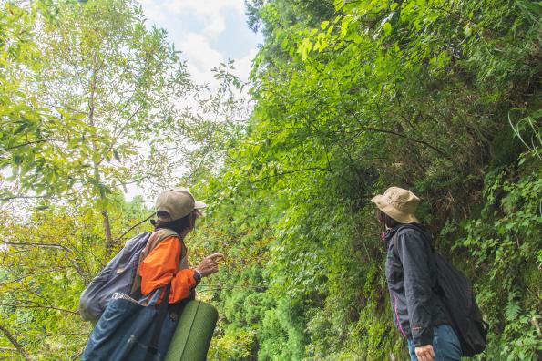 ［Forest Therapy Base Ukiha］Tsuzura Terraced Rice Field Walkway-8