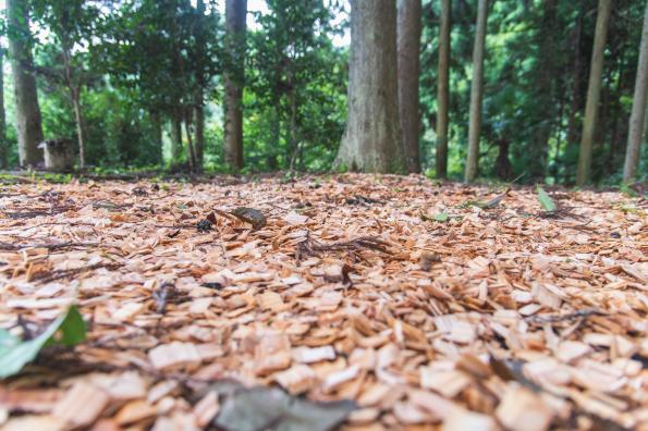 ［Forest Therapy Base Ukiha］Tsuzura Terraced Rice Field Walkway-3