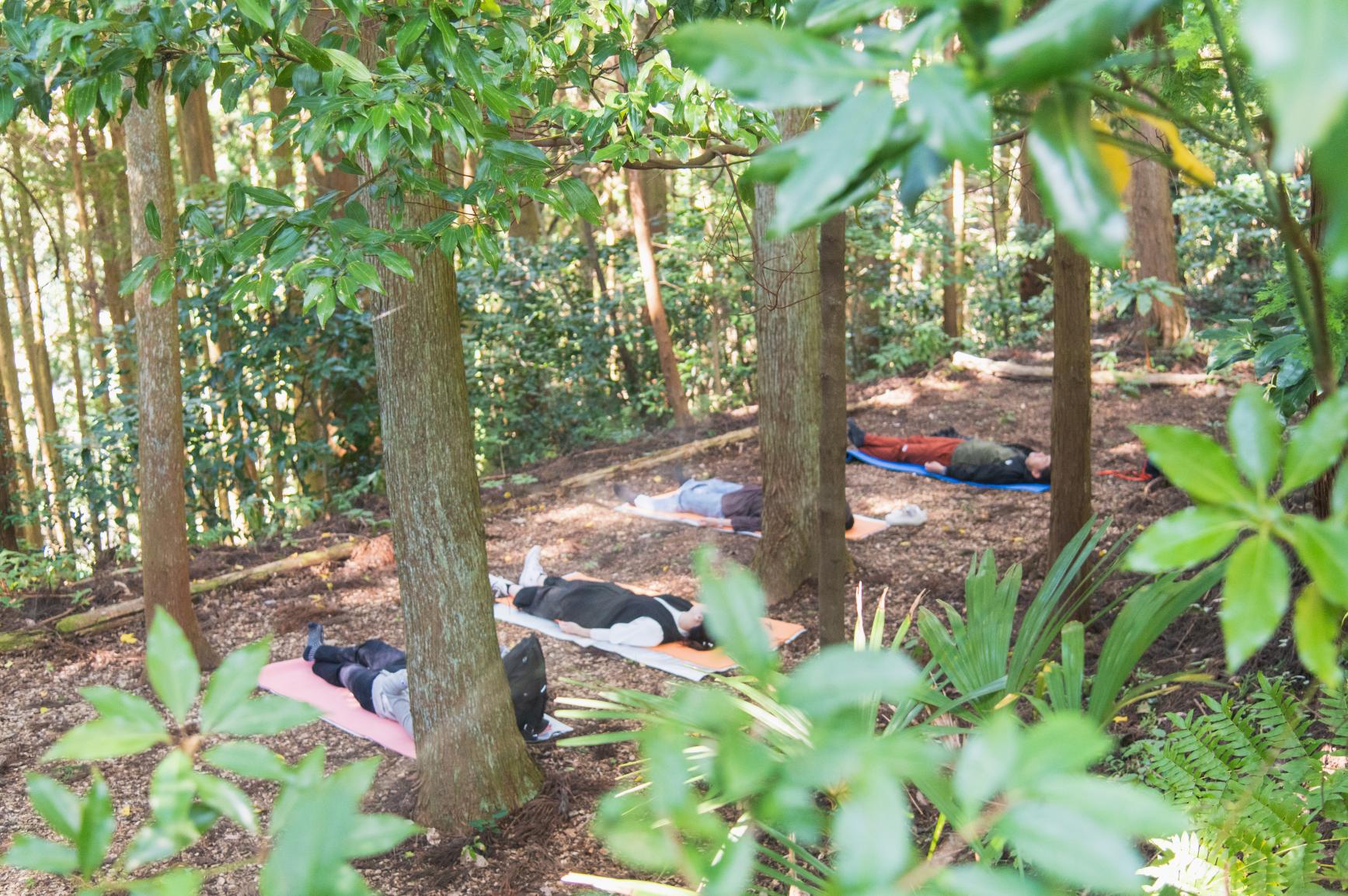 ［Forest Therapy Base Ukiha］Tsuzura Terraced Rice Field Walkway-4