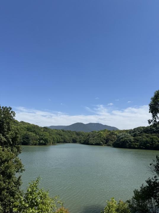 【森林疗法基地篠栗】篠栗九大森林路线-0