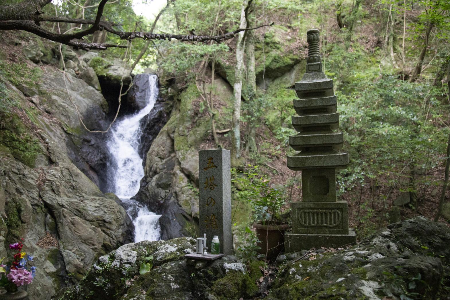 【森林セラピー基地篠栗】樹芸の森コース