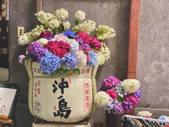 赤間宿あじさい散歩-8