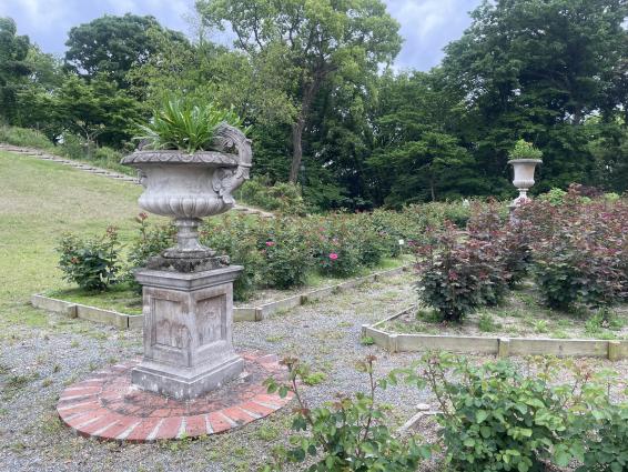 TG Rose Garden＜日本経済大学 福岡キャンパス・イングリッシュガーデン＞-4