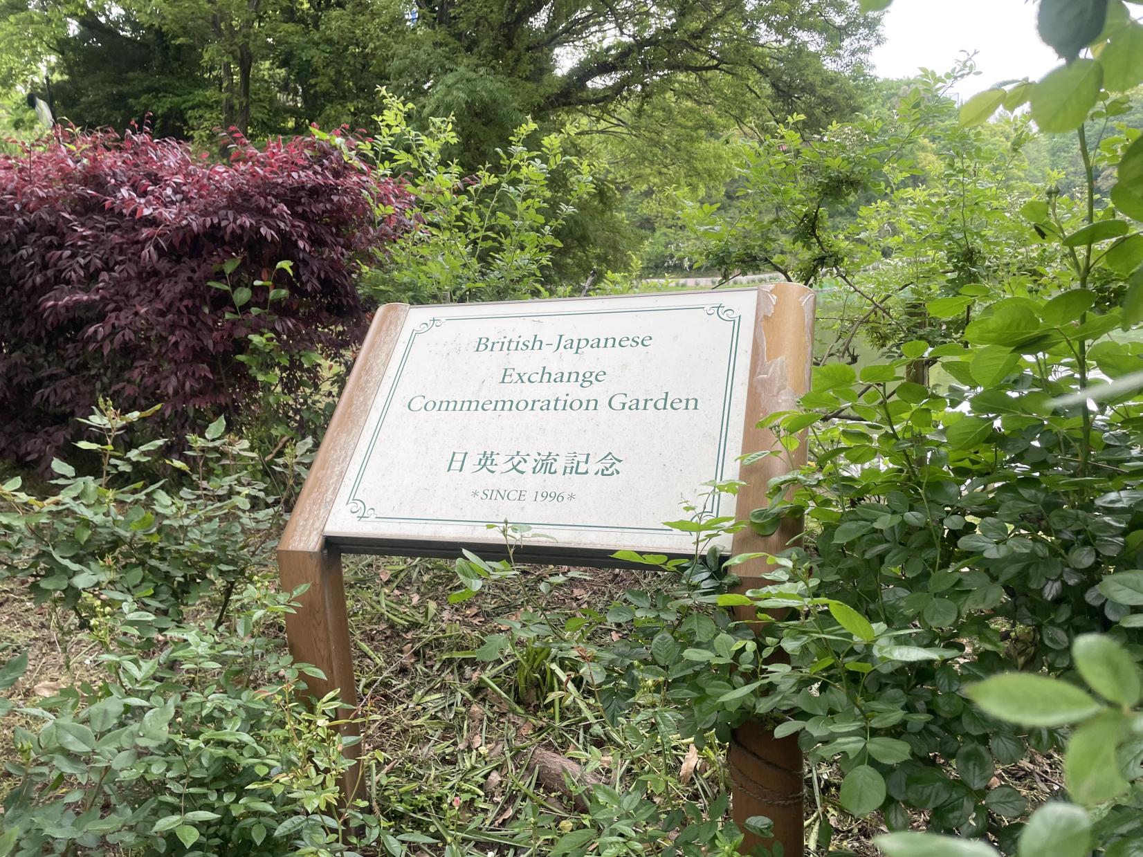 TG Rose Garden＜日本経済大学 福岡キャンパス・イングリッシュガーデン＞-2
