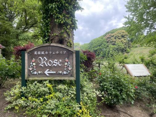 TG Rose Garden＜日本経済大学 福岡キャンパス・イングリッシュガーデン＞-8