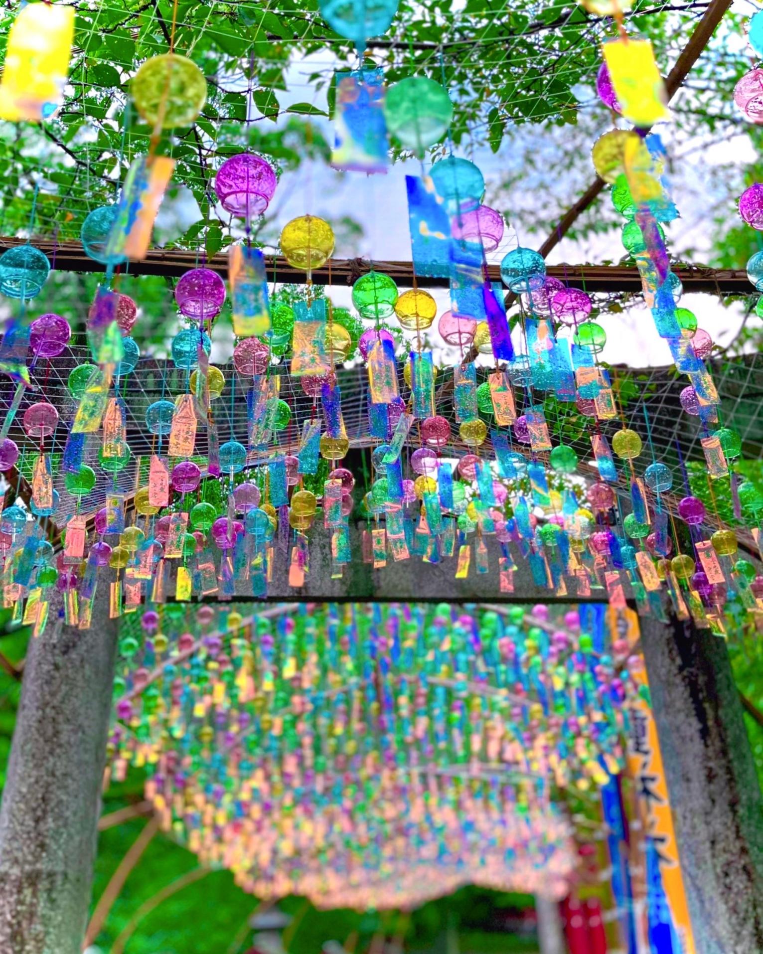 宮地嶽神社　風凛まつり-1