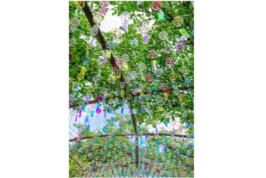 【宮地嶽神社】風凛まつり-5