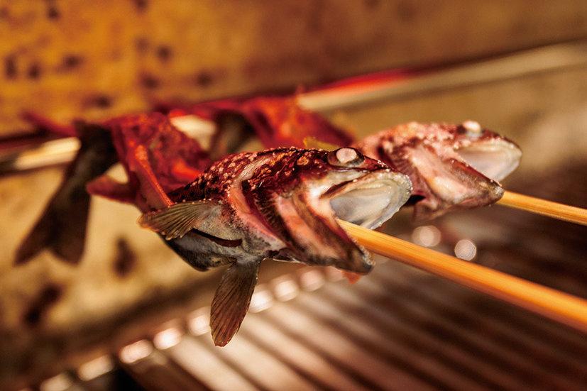せせらぎ ヤマメ釣り堀場-2