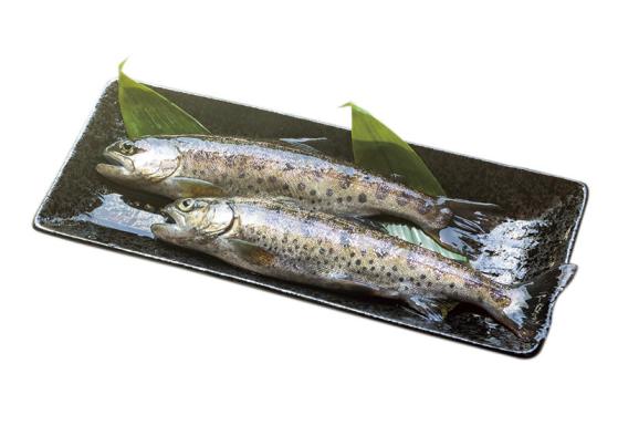 せせらぎ ヤマメ釣り堀場-1