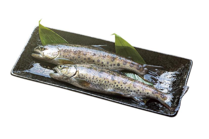 せせらぎ ヤマメ釣り堀場-1