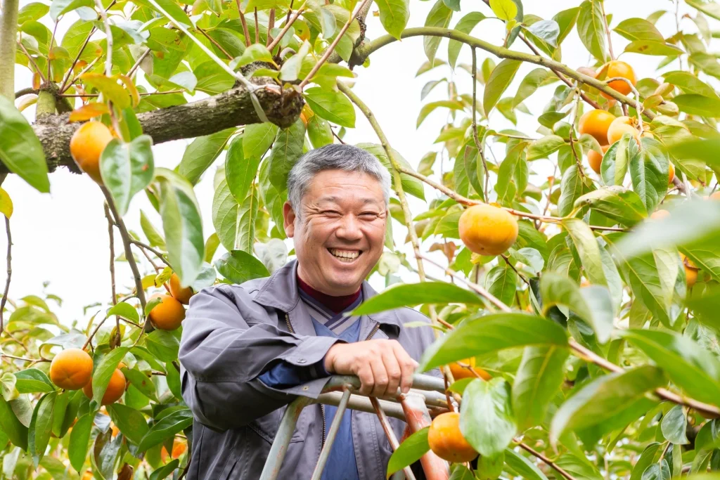 春光園（うきは市）
