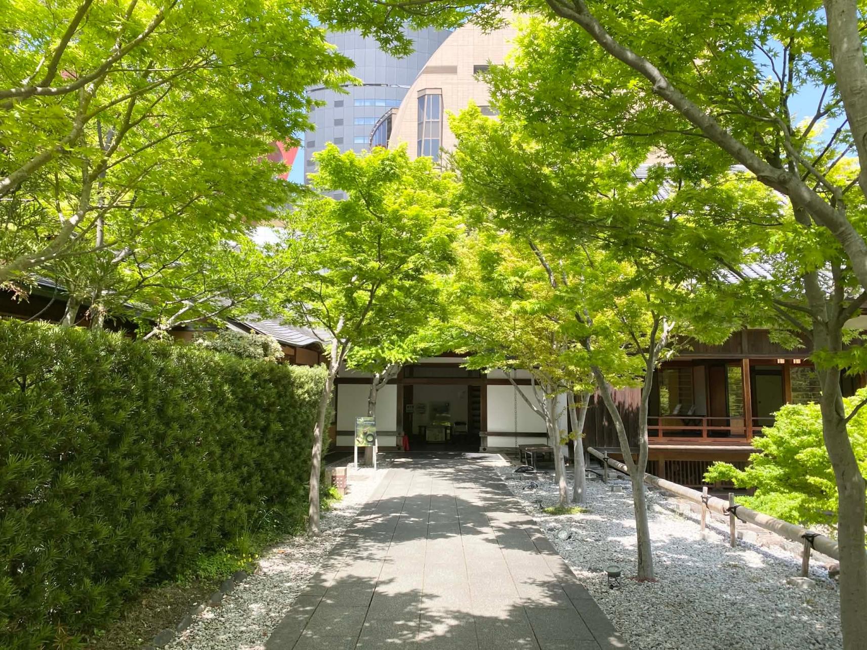【小倉城庭園】納涼茶会-2