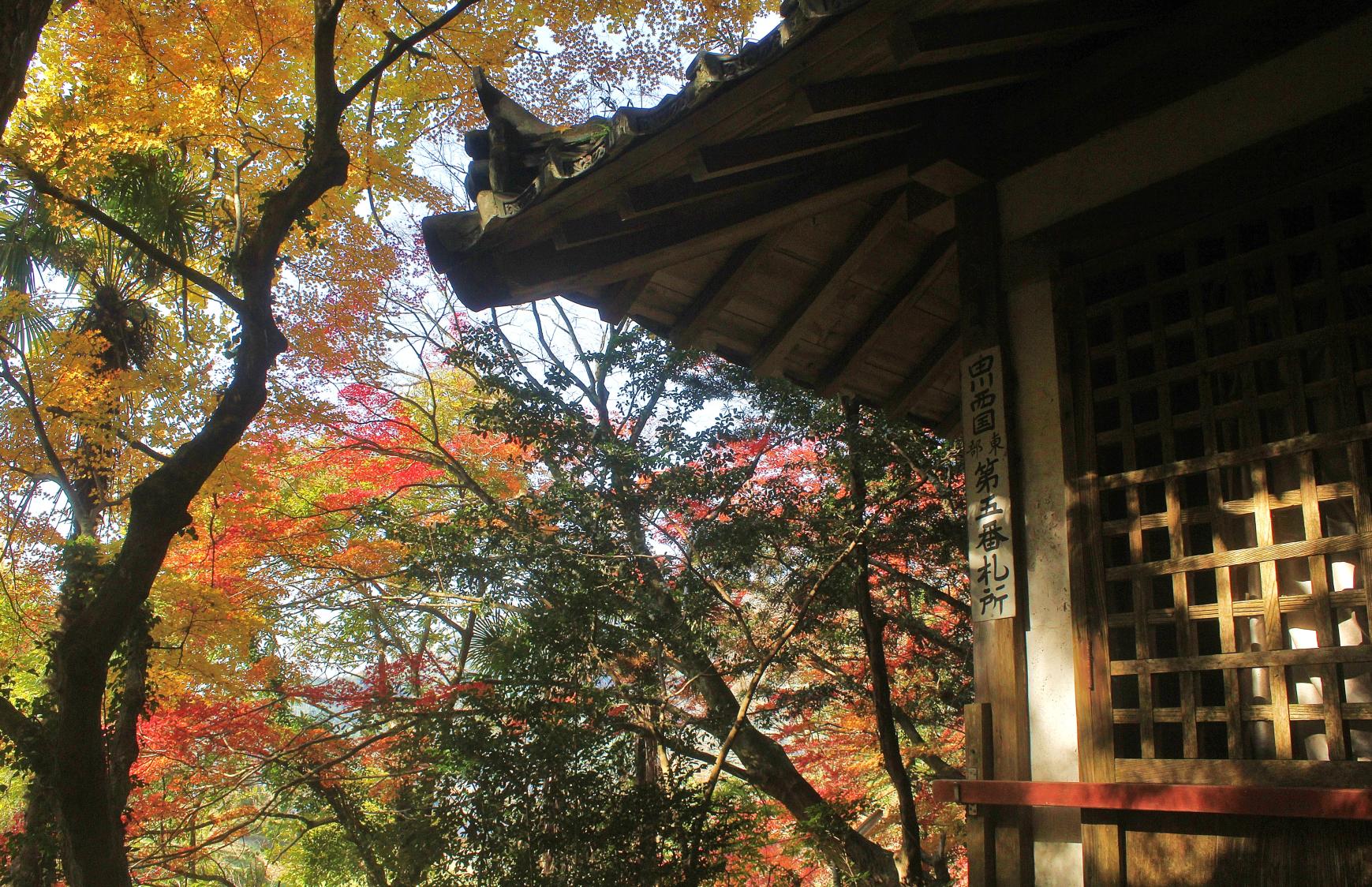 上高野観音寺