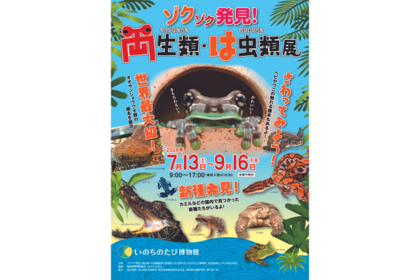 夏の特別展「ゾクゾク発見！両生類・は虫類展」-1