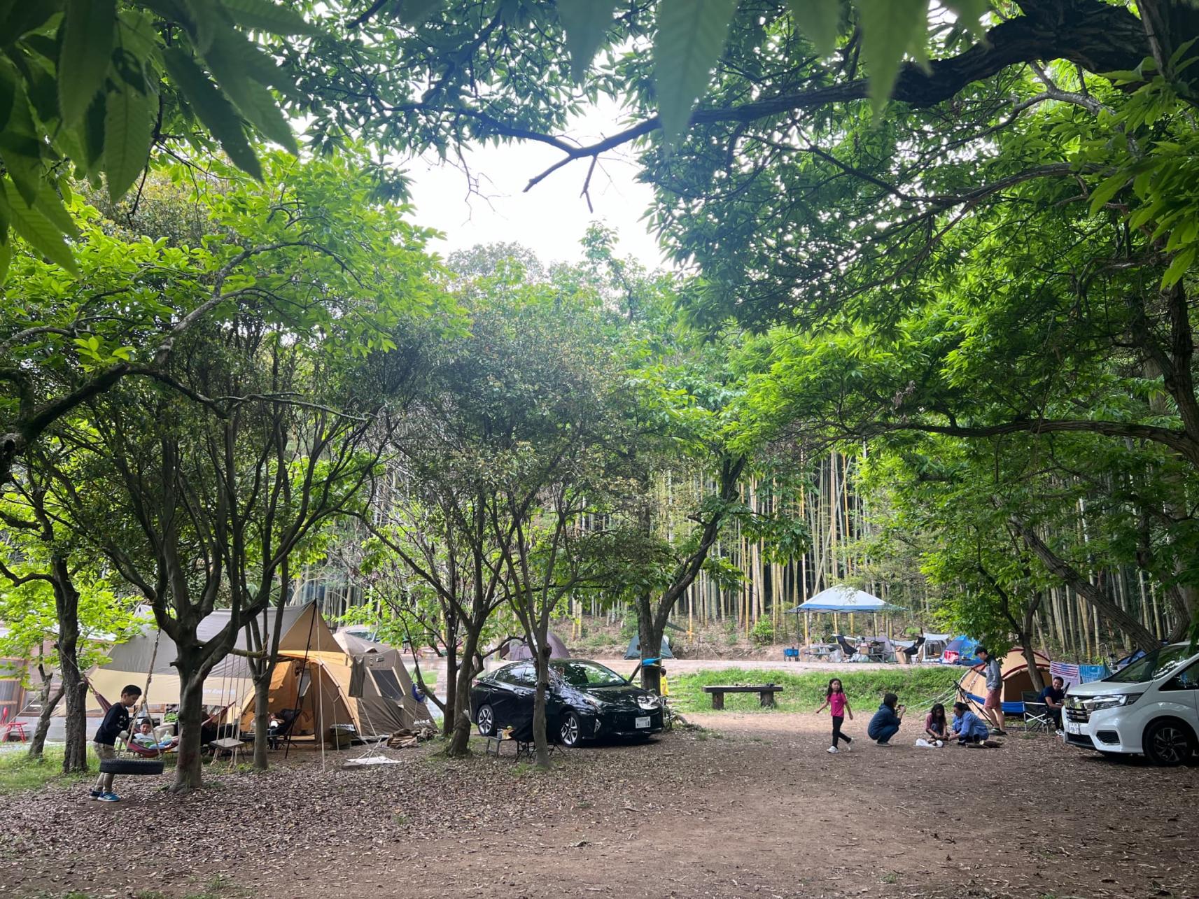 ７世代CAMP-1