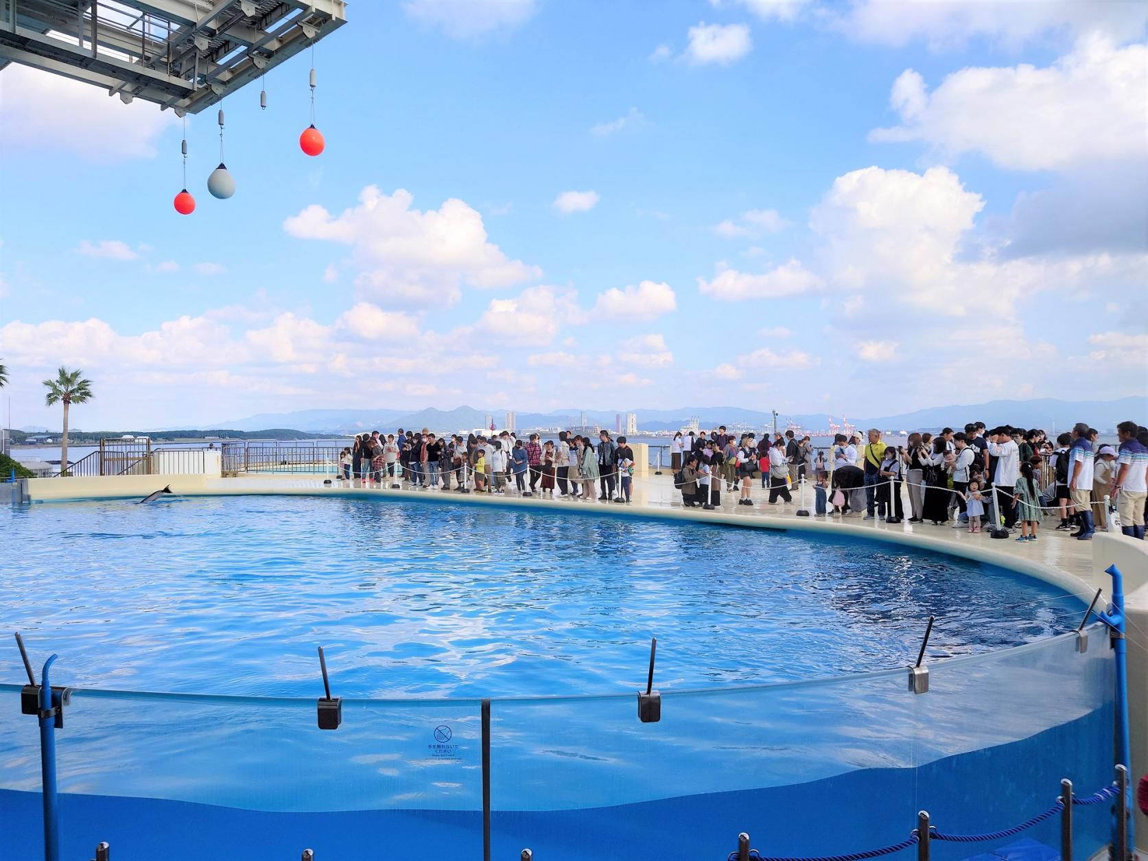 感謝祭【マリンワールド海の中道】-1