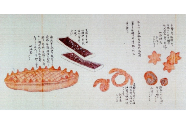 【いのちのたび博物館】秋の特別展「お菓子のむかしばなし展」-1