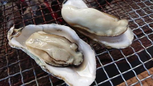 令和7年度福岡市農林水産まつり-1