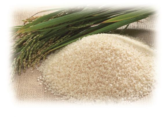 令和7年度福岡市農林水産まつり-8