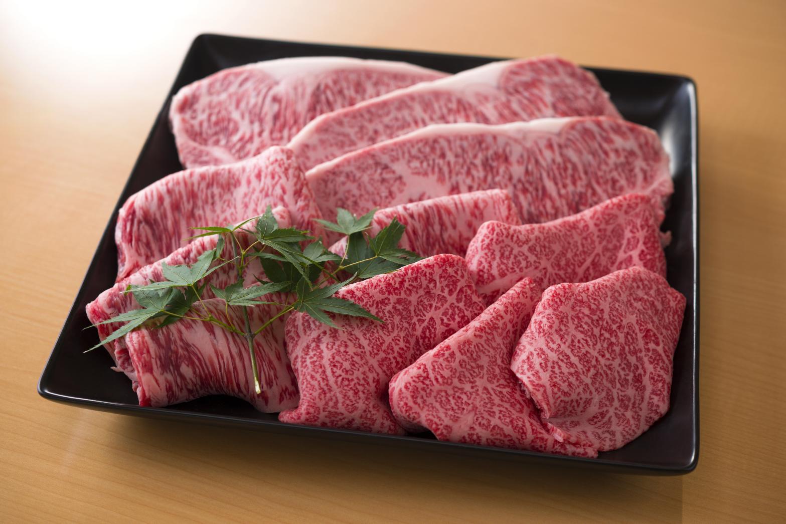 令和7年度福岡市農林水産まつり-3