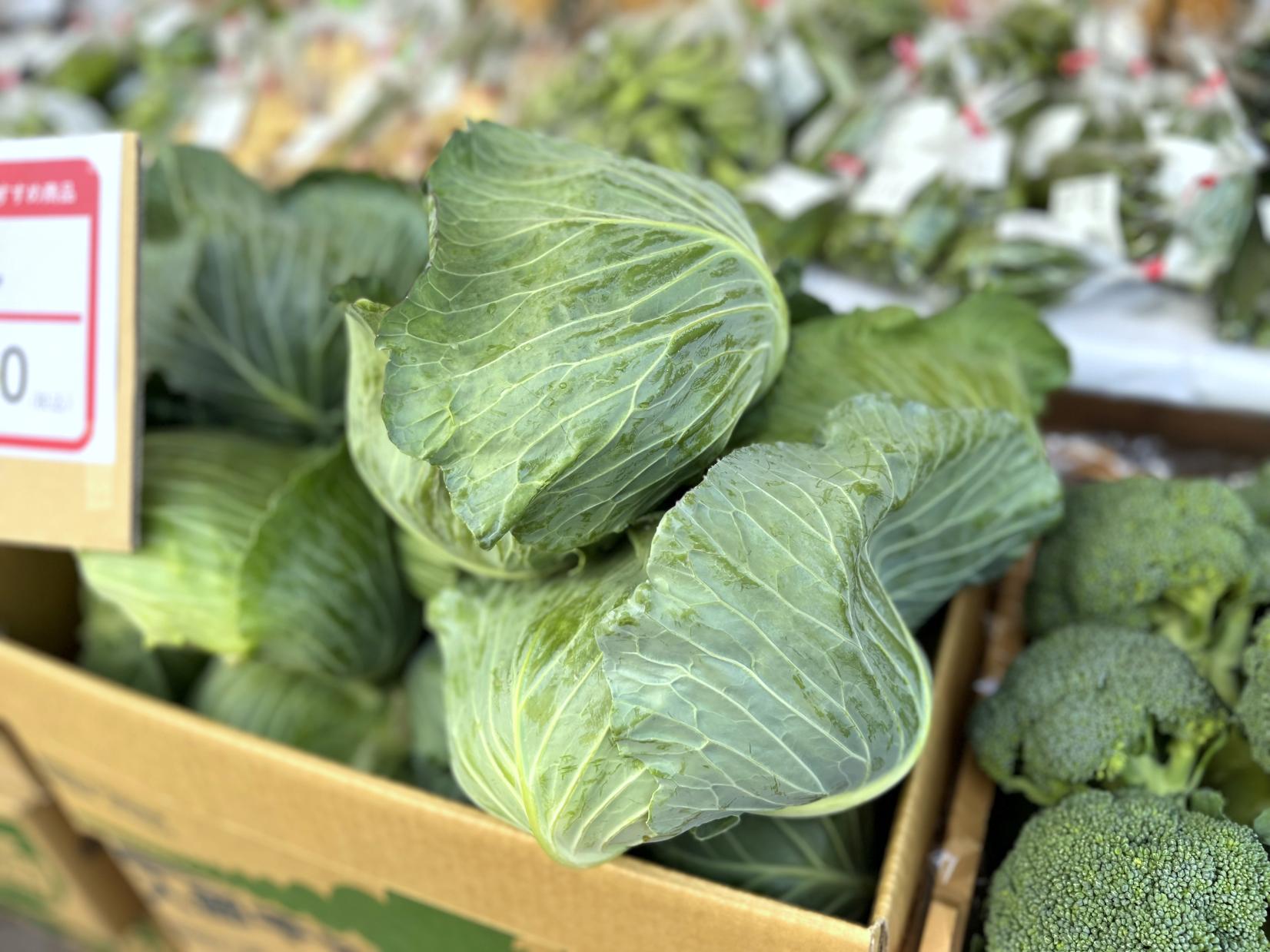 令和7年度福岡市農林水産まつり-5